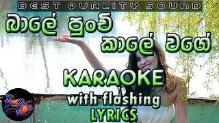 Bale Punchi Kale Wage Karaoke with Lyrics Without Voice [upl. by Warder]