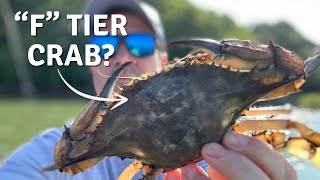 I Tried 20 Different Crabs And Ranked Them All [upl. by Guinevere891]