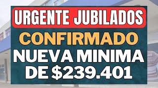 CONFIRMADO AUMENTO por DNU  BONO en ABRIL 2024 a JUBILADOS y PENSIONADOS Anses [upl. by Rebekah352]