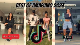 Best of TikTok amapiano dances 2023 [upl. by Kelley864]