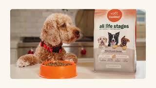 Canidae All Life Stages  Great Nutrition For MultiDog Families [upl. by Estevan]