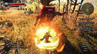 O MONSTRO mais BONITO de THE WITCHER 3 [upl. by Refanej866]