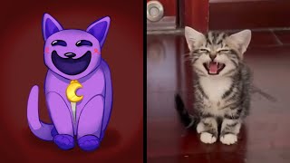 😂Cat Memes When Your Cat Looks Like CatNap 😅Toothless and Light Fury in Cat Meme Video 2024😸🐶 [upl. by Naghem923]