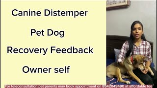 Canine Distemper Recovered Dog Owner Review [upl. by Marve]