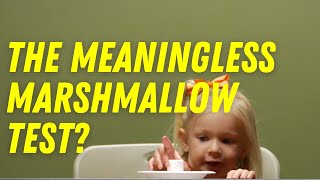 Why the Mighty Marshmallow Test CANT Predict Your Future [upl. by Wershba]