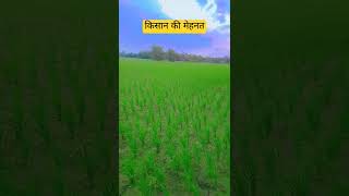 HAL chalaye tune tune fasal ugai bhojpuri song music [upl. by Teddman]