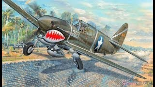 Trumpeter 132 P40F Warhawk Review [upl. by Colligan638]