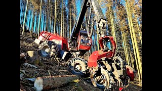 🌲 Komatsu 951  TWinch • Arbeit im Steilhang • Forstbetrieb DWiese • Komatsu 951 am Seil • 3 🌲 [upl. by Teddy]