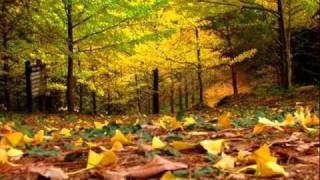 Autumn Leaves  Coleman Hawkins [upl. by Temple618]