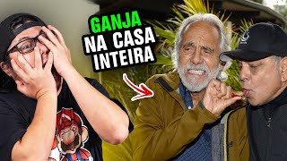 RODOU FEIO Cheech e Chong a origem da comédia de chapado CARBUROGRAFIA [upl. by Iturk]