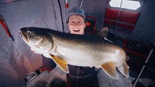 How to Ice Fish for Lake Trout with Bait RodsReelsLineRigging [upl. by Alleynad711]