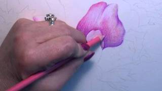 Colored Pencil Instruction with Paula Leopold [upl. by Moulden]