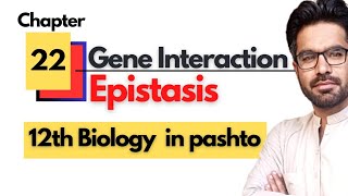 Gene Interaction and epistasis  Class 12th biology  Chapter 22 Inheritance in pashto [upl. by Auqenat892]