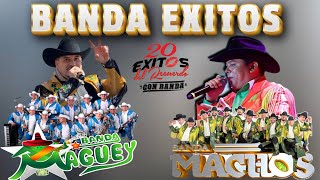 PURAS BANDA ROMANTICAS DEL RECUERDO  BANDA MAGUEY VS BANDA MACHOS 🎉 [upl. by Nahbois]