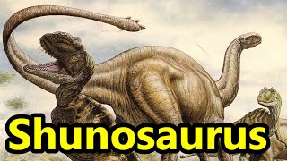 Shunosaurus The Club Tailed Sauropod Dinosaur [upl. by Enajharas]