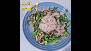 나리 나리 돼나리 😚 porkbulgogi with minari watercelery 미나리돼지불고기 timotheechalamet 집밥 티모시 [upl. by Nalahs]