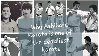 The Deadly KarateAshihara kaikan karate [upl. by Eugilegna]