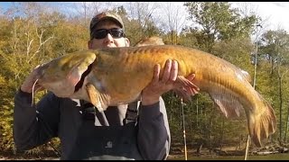 Catch Catfish and Carp Subscribe to the Catfish and Carp YouTube Channel [upl. by Htiaf]