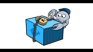 Securing Docker Daemon Socket  Exposing Docker API over SSL [upl. by Pollerd]