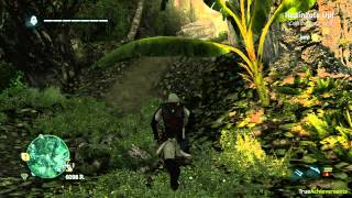 Assassins Creed IV Black Flag  Redingote Up Achievement [upl. by Rusticus]