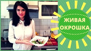 Ну ОЧЕНЬ ВКУСНАЯ ОКРОШКА Сыроедный Рецепт [upl. by Reckford]