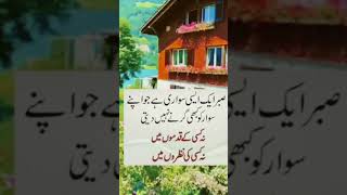 Saber ak easi sawari hy [upl. by Paresh]