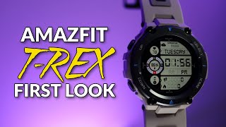 Amazfit TRex Pro First Look Shorts [upl. by Procora]