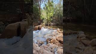 Cederberg Trails vlog travel nature clips [upl. by Pugh]