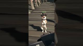 Dog  Sea of Thieves seaofthieves shorts [upl. by Haral]