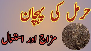 Harmal Ke Fayde In Urdu Benefits Of Harmal Seeds [upl. by Clein]