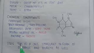 Phenylpropanoids and Flavonoids  Tea leaves in pharmacognosy  caffeine in tea  uses of tea [upl. by Jeni]