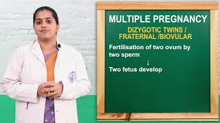 Nursing Course I Multiple Pregnancy I Types Causes and Risk Factors ANM and BSc [upl. by Magdaia]