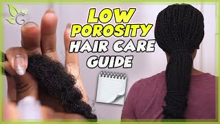 The BEST HAIR CARE TIPS for LOW POROSITY hair [upl. by Eanil85]