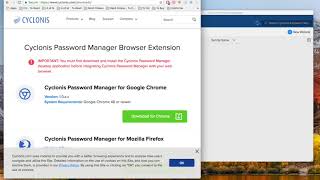 Cyclonis Password Manager Overview [upl. by Sucramd620]