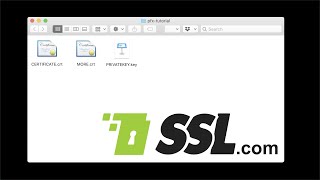 Create a PKCS12PFX File with OpenSSL [upl. by Repsihw]