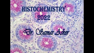 Introduction to histochemistry [upl. by Nocaj107]