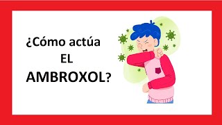 ¿Cómo actúa EL AMBROXOL [upl. by Engle95]