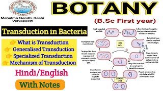 Transduction in Bacteria Generalized TransductionSpecialized Transduction  Botany BSc 1st year [upl. by Seta900]