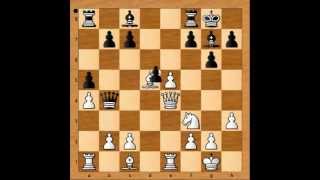 The Greatest King Walk in History of Chess Short vs Timman 1991 [upl. by Akimrehs]