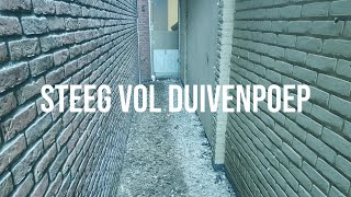 300 kg duivenpoep verwijderen uit een steeg  Vlog 14  Frisse Kater [upl. by Ahens45]