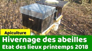 Sortie dhivernage pour les abeilles [upl. by Lebama]