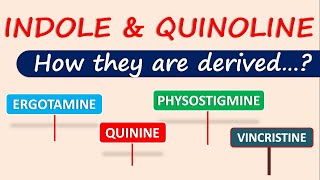 Indole and Quinoline alkaloids  How they are derived [upl. by Mord]