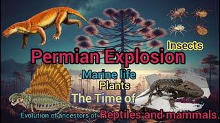 Permian Period Plants Marine and terrestrial Life insects and the Dawn of Reptomammals part 12 [upl. by Aleakam]