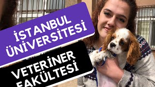 İstanbul Üniversitesi  Veteriner Fakültesi Veterinerlik  Hangi Üniversite Hangi Bölüm [upl. by Asilla]