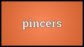 Pincers Meaning [upl. by Nortad]