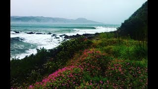 Point Annihilation Surf  Mahia New Zealand [upl. by Kare]