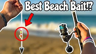 THIS Is The BEST Bait For Beach Fishing [upl. by Suravart]