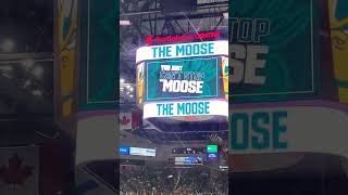 Halifax Mooseheads first home opener goal [upl. by Nnylsoj]