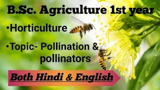 Pollination amp Pollinators  BSc Ag1st year  Horticulture  Explanation in both hindi amp English [upl. by Yeltnarb256]