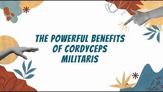 4 powerful benefits of cordyceps militaris [upl. by Masterson864]